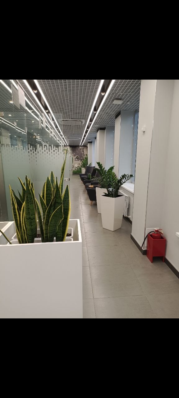 Работа